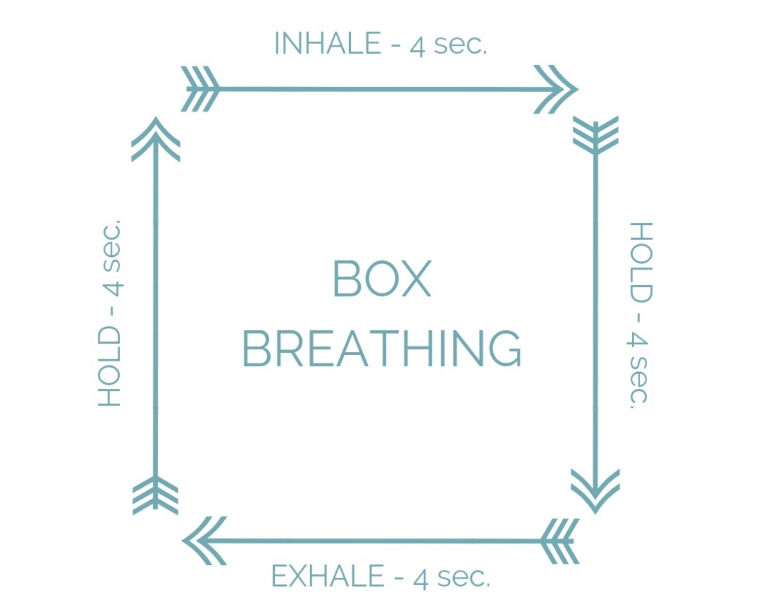 The Power of Conscious Breathing